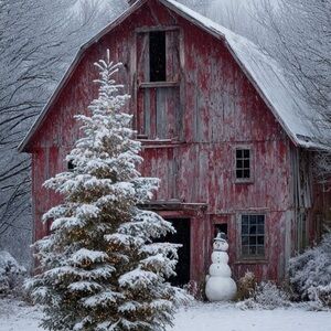 All offers are appreciated! 😊